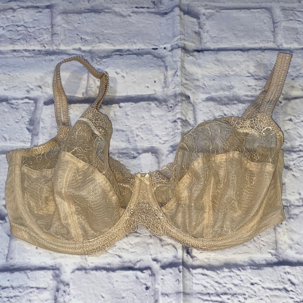 Panache Superbra Elsa 6691 Balconette Lace Underwire Bra Beige 34E